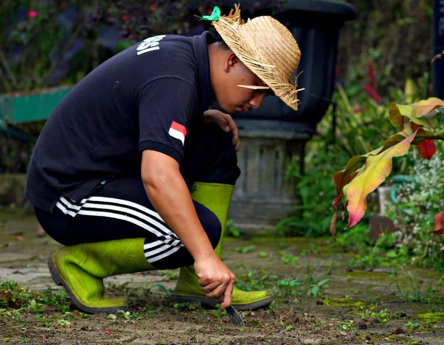 Gardening & landscaping